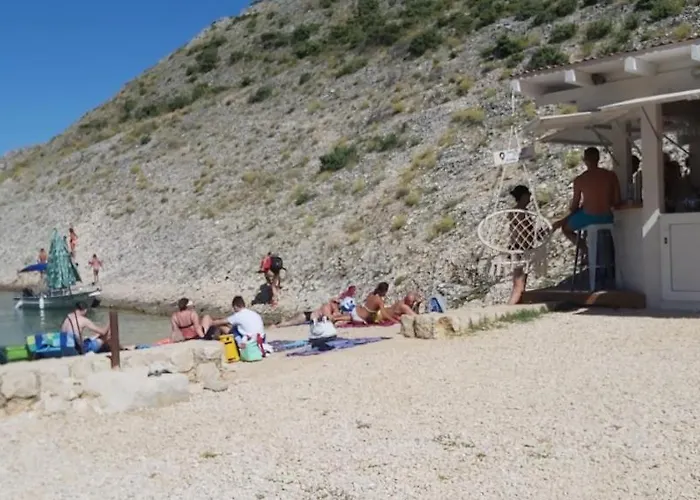 Rafin Dvor * Врси